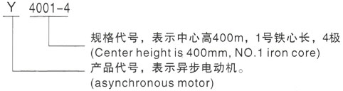 西安泰富西玛Y系列(H355-1000)高压JR148-6三相异步电机型号说明