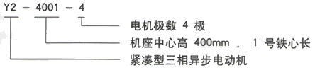 YR系列(H355-1000)高压JR148-6三相异步电机西安西玛电机型号说明